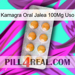 Kamagra Oral Jelly 100Mg Use levitra1